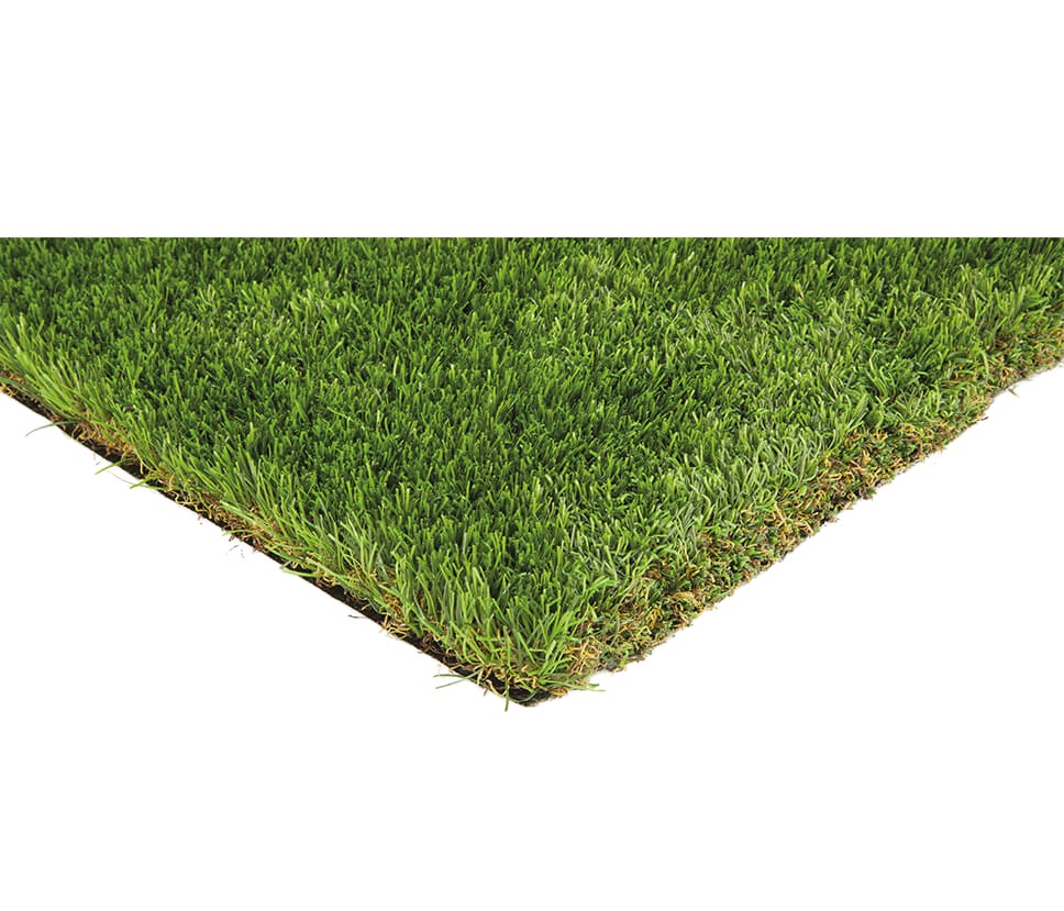 Thirty Eight 38mm Corner32979 nobg