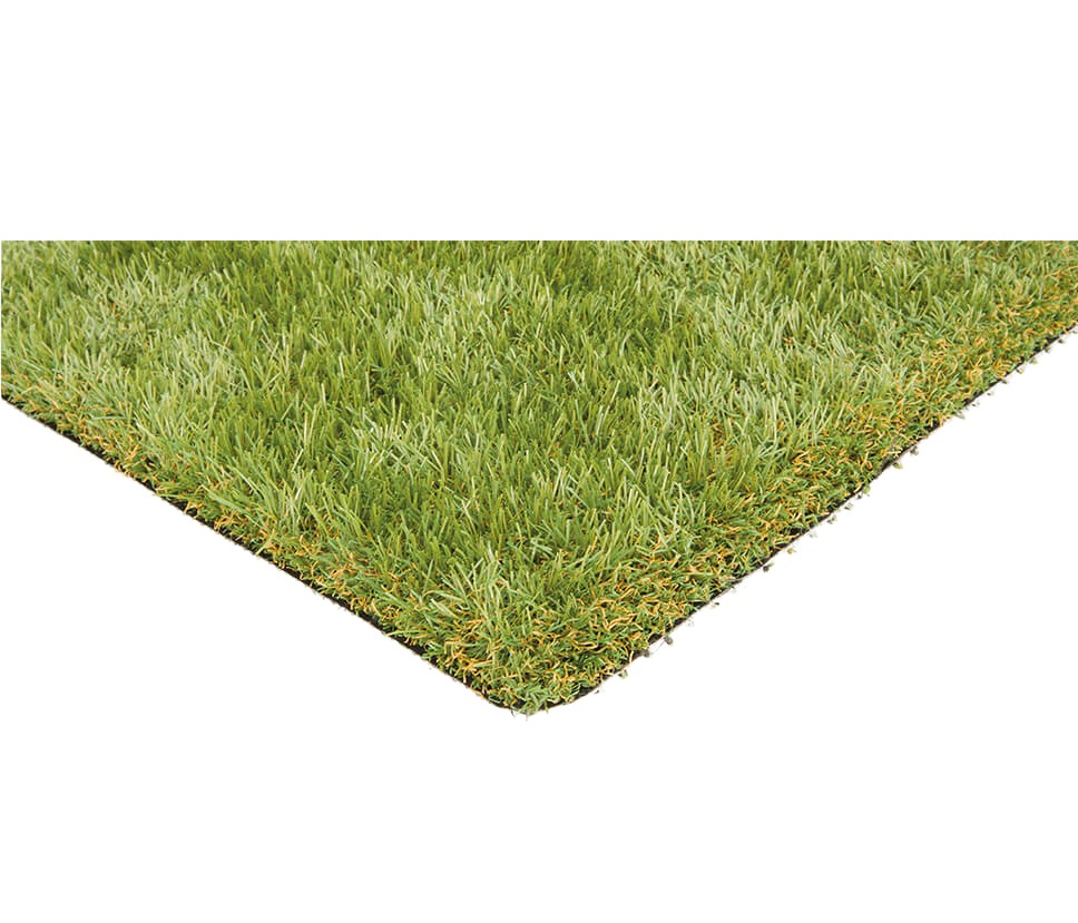 Thirty Five 35mm Corner24169 nobg